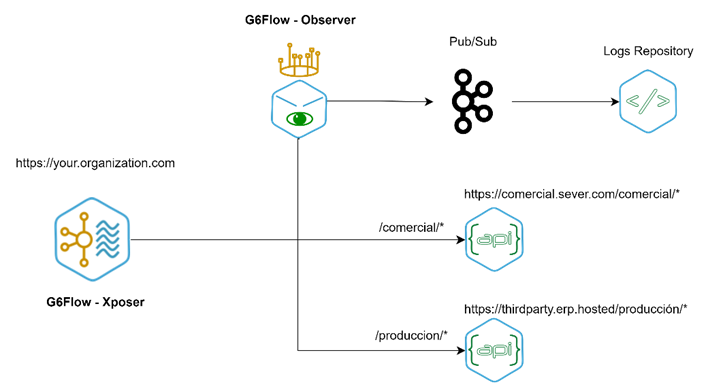 audit collection case