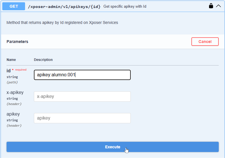 execution get apikey by id