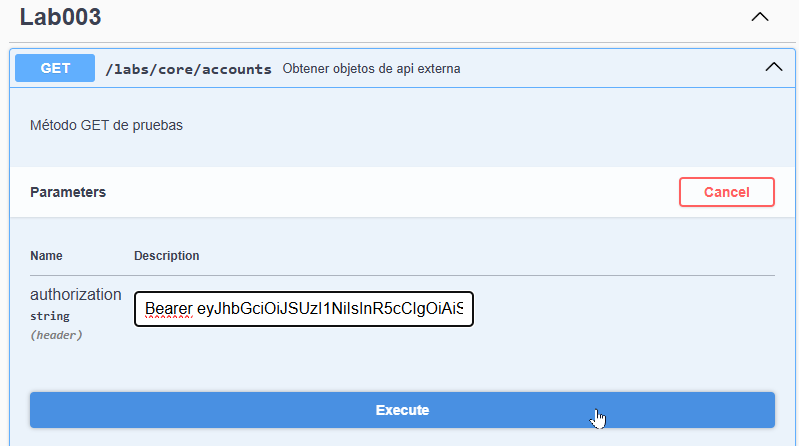 paste access_token to get
