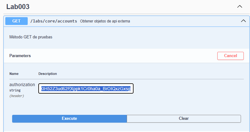 paste token from invalid user